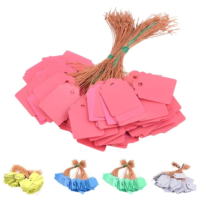 Lot De 100 étiquettes De Plantes En Plastique Vert Réglables à Suspendre Autour De L'arbre Pour Plantes De Jardin, Graines, Légumes, Fleurs, Plantes En Pot, Jardinage, 2 X 21 Cm