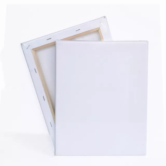 Blank Artist Canvas Art Board Plain Painting Stretched Framed White Large Small