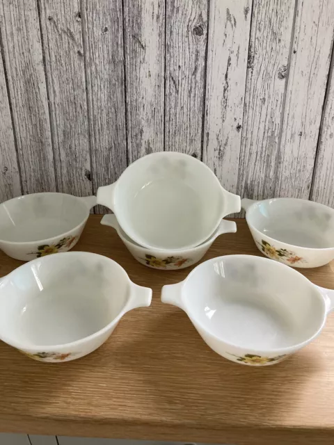 6 x PYREX JAJ Vintage Autumn Glory Handled Dishes Soup/Dessert/Cereal Bowls