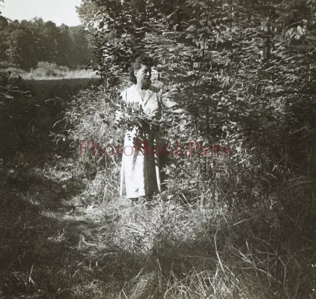 Femme dans un parc c1940 Photo Plaque de verre Stereo Vintage V15L34n17
