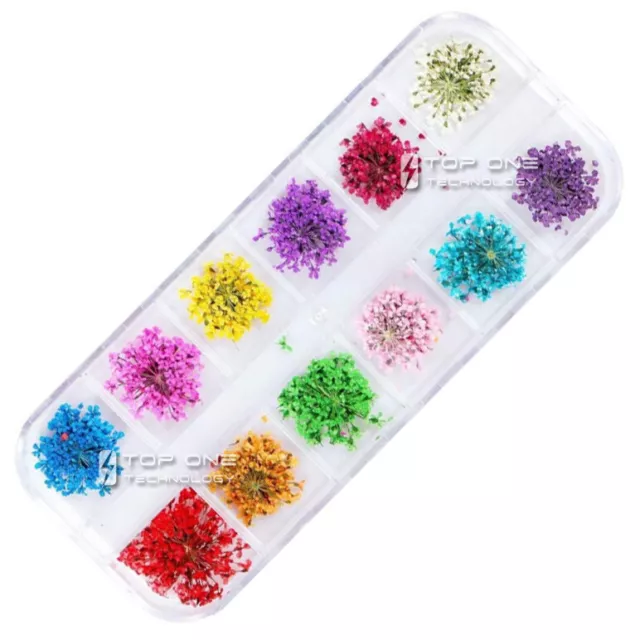 12 Color Dried Flowers Floral Nail Art 3D Decal Freebie Blossom Manicure 3016 2