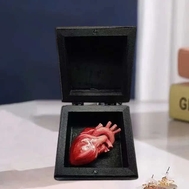 1 Set Menschliches Herz Ornament Hohe Simulation Dekoratives My Heart in A Box