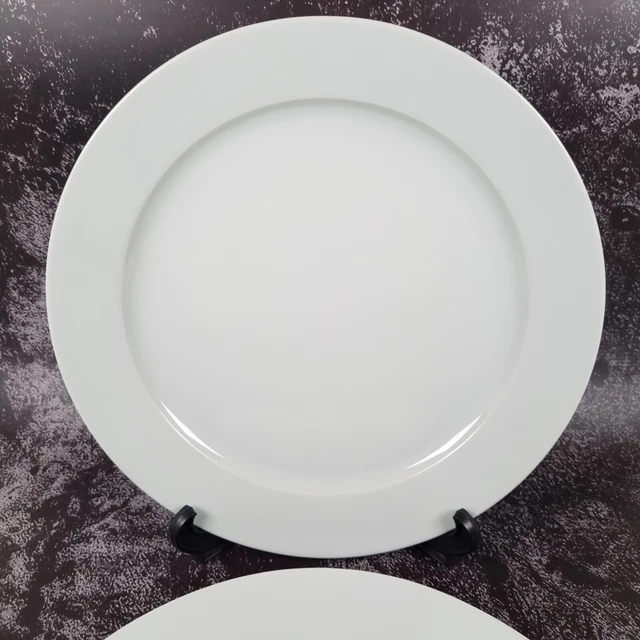 IKEA 365+ LARGE Charger Plates designed by Susan Pryke Vintage Turkey