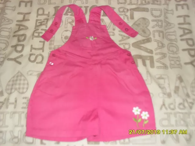 Pink dungarees with stitched flowers - Age 12-18 months