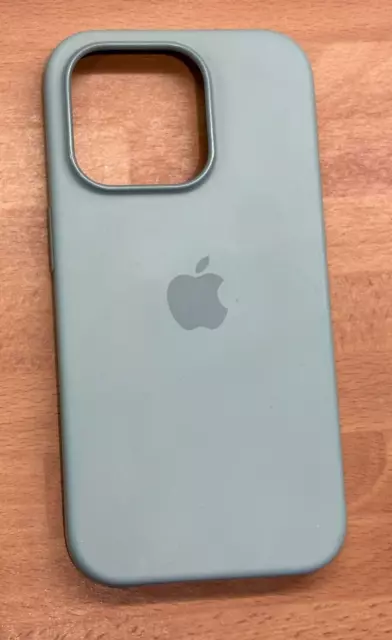 Apple Silicone Case with MagSafe for iPhone 14 Pro - Succulent