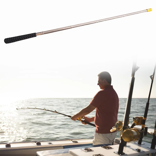 Manche Télescopique Maver CYBER ARM 3,00 Mètres (neuf, Pour La Pêche)