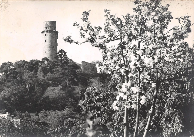 91-Saint Genevieve Des Bois-Nèc-3638-D/0221