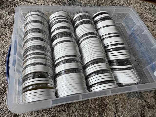 Test Psicologico Del Fiore: Scegli Quello Che Preferisci E Scopri Un Segreto Su Te Stesso - Foto 7