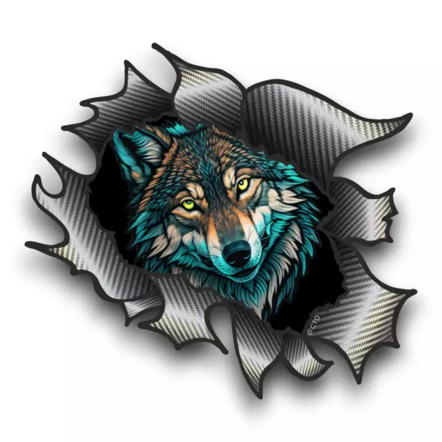 Hermoso Azul Wolf Cara Rasgado Fibra de Carbono Vinilo Pegatina 115x90mm