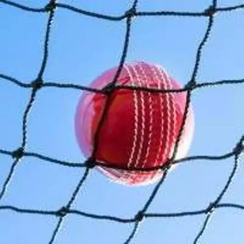 Cricket Net Ball Stop Practice Cage Batting Sports Tennis Netting Choose Size