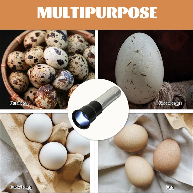 Light Egg Candler Farm Hand Held Egg Lamp Rechargeable LED Flashlight Major 3