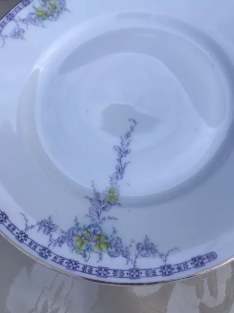 8 ALTE  Frühstücksteller  mit Terrine JUGENDSTIL BLUMEN  um 1920 Fried. Kaestner 2