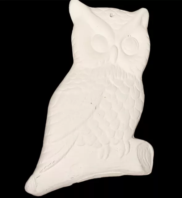 Ceramic Bisque Ready To Paint Owl DIY Ornament