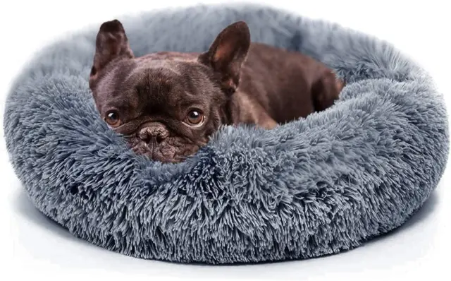 Small Dog Bed Calming Dogs Bed for Small Dogs Anti-Anxiety Puppy Bed Machine Was