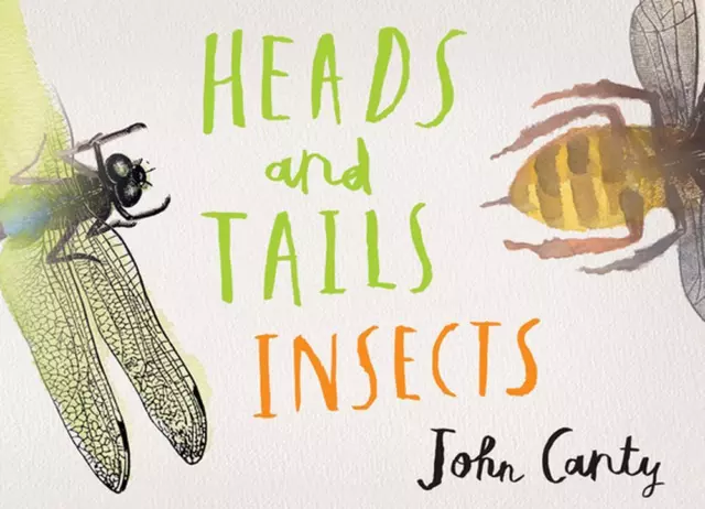 Heads and Tails: Insects by John Canty (English) Hardcover Book