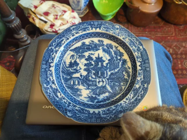 Antique Early 19th Century Spode? Blue And White Plate