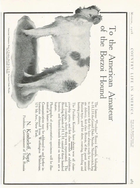 1908 American Amareur Pershino Borzoi N Kosheleff Tula Dog Show Grand Ke Br18001