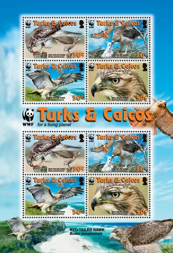 Turks And Caicos 2007 - WWF - HAWK Birds - Sheet of 8 Stamps - MNH