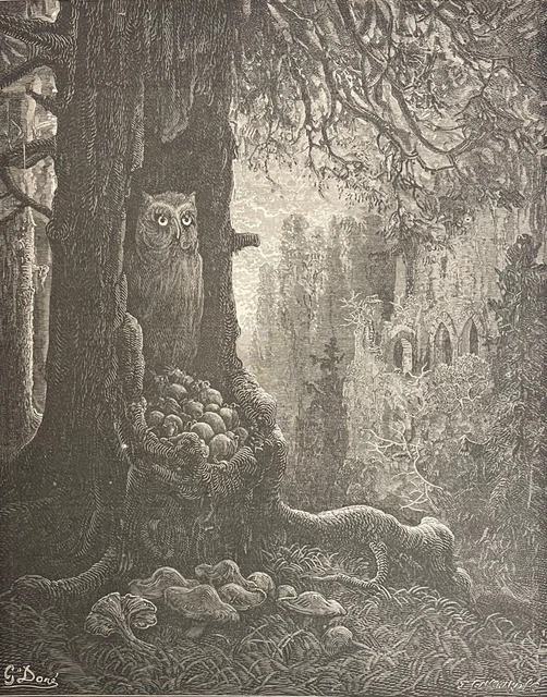 Les souris et le chat-huant Hibou Gustave Doré Xylographie Fable Fontaine 1868