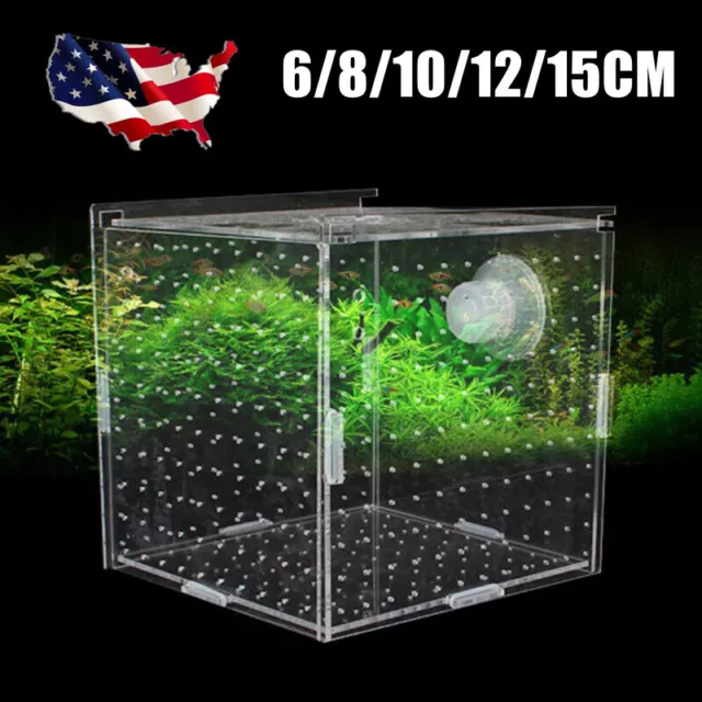 Clear Aquarium Fish Tank Guppy Breeding Breeder Baby Fry Newborn Net Trap Box US
