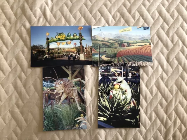 Vintage Disney California Adventure 4 Photo Lot - Early 2000s - Bugs Land - New