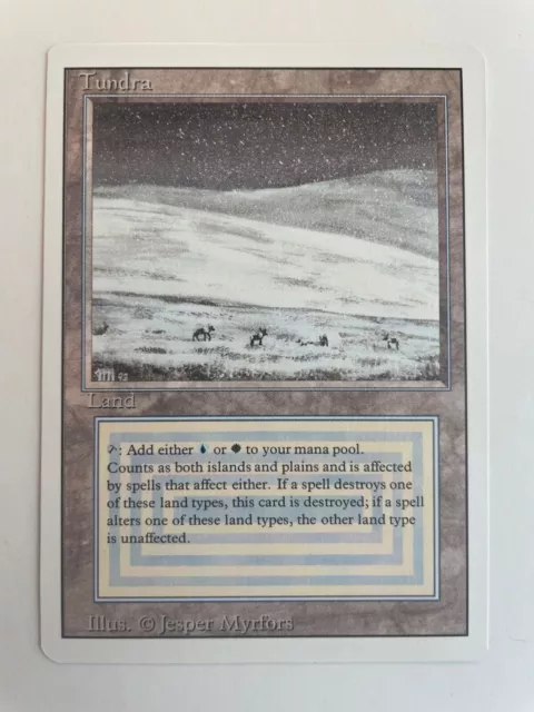 magic the gathering - Tundra, Revised NM/Mint