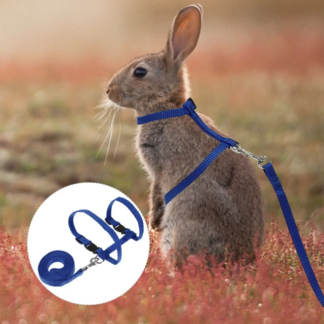 UEETEK Ajustable Conejo para Caminar Corredor Correa Suministros para Mascotas (Sk