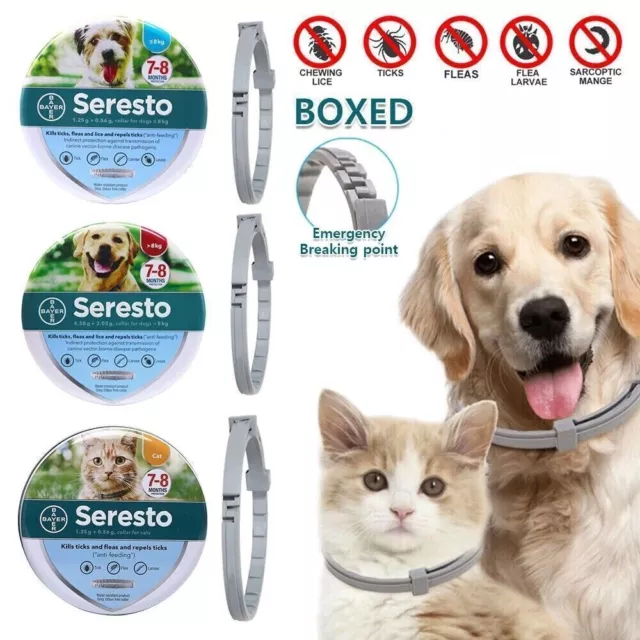 Seresto Collare Antiparassitario,Per Cani Sopra Oltre 8 kg Medio Grandi