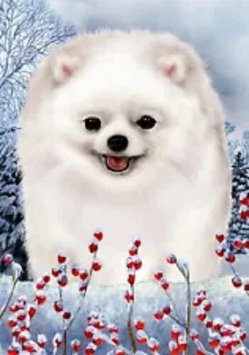 Winter House Flag - White Pomeranian 15433