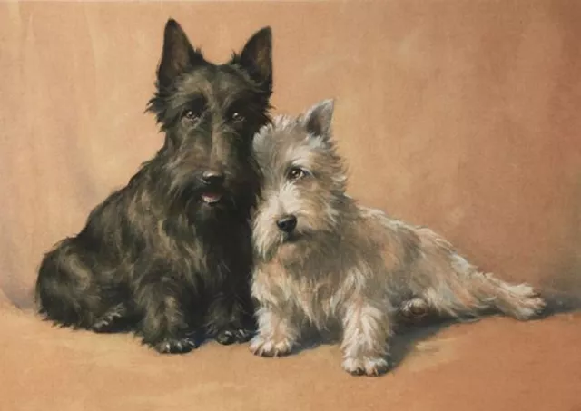 Scottish Terrier & West Highland White Terrier Dog Greetings Note Card