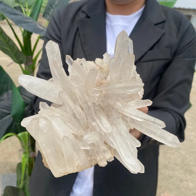 3.1lb Large Natural Clear White Quartz Crystal Cluster Rough Healing Specimen 9