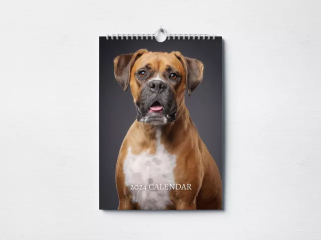 Boxer Calendar 2024 | Monthly Wall Calendar, A4 Hanging Calendar