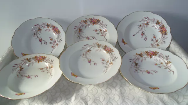6 assiettes creuses en porcelaine