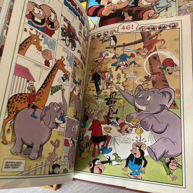 Dandy & Beano Annual 101 Great Stories VGC 3