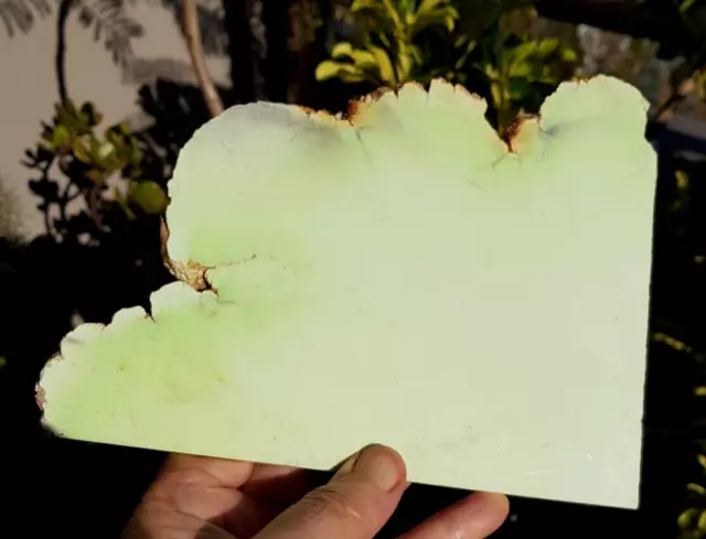 LARGE LEMON/CITRON CHRYSOPRASE SLICE NICKELOAN MAGNESITE 210 x 160 x 9 MM 590 G 3