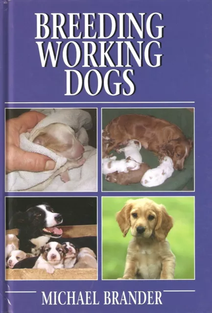 BRANDER MICHAEL GUN DOG & SHOOTING BOOK BREEDING WORKING DOGS hardback BARGAIN