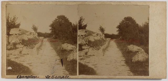 FRANCE Champlieu Gallo-Roman Ruins Amateur Stereo Photo Vintage Citrate 