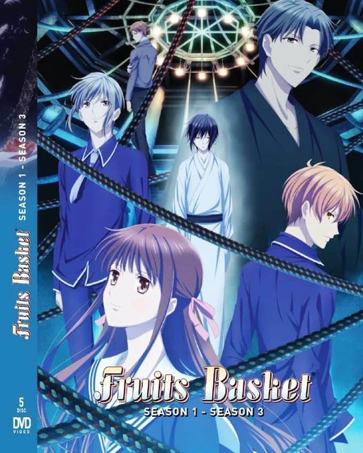 FRUITS BASKET STAGIONE 13 Vol.164Fine Anime giapponese DVD Doppiaggio