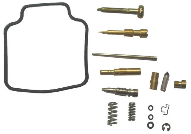 TaoTao Raptor 200/ G200/ TM200,  ATV Carburetor Kit PD24J