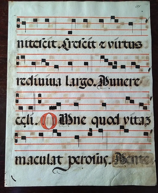 Quaderno Pentagrammato Di Musica: Formato Grande A4. 12 Righi Per Pagina. 103 Pagine Con Indice Iniziale. : Pichi, Viola