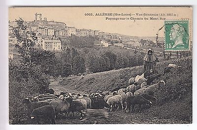 Cpa  Allegre 43 -  Vue Generale Ville Chemin Du Mont Bar Berger Mouton 1905 ~B81