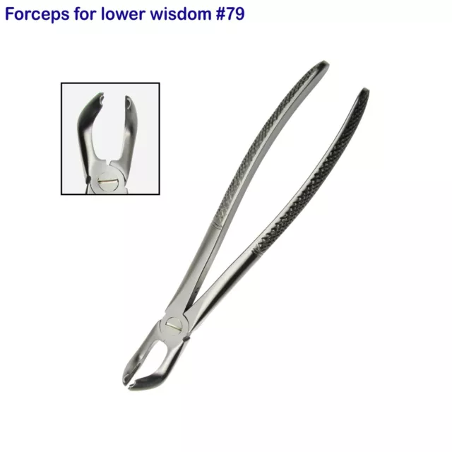 Dentaire Forceps D'Extraction Pour Inférieur Wisdom FIG.79 Dents Desserrement