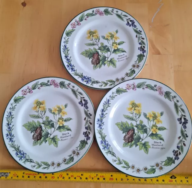 ROYAL WORCESTER HERBS 3 off 6 3/4" SIDE PLATES [BLACK MUSTARD] vgc