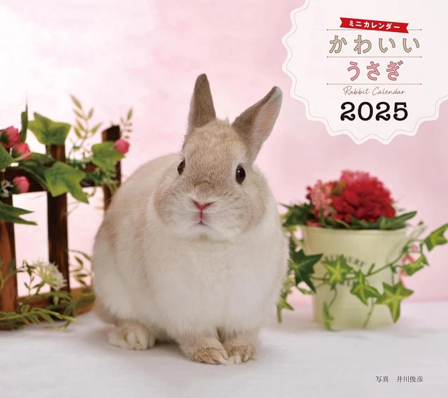 2025 CALENDAR CUTE rabbit (Seibundo Shinkosha calendar) $49.18 ...