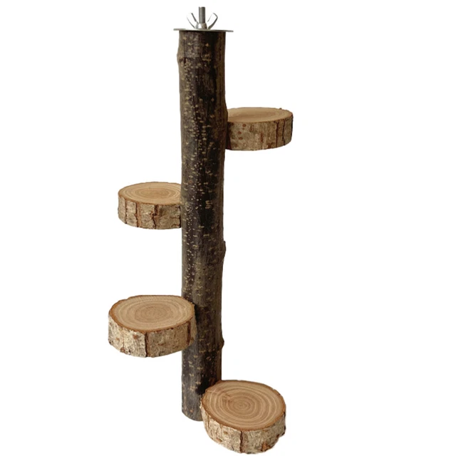 CAWi BalanceBlocks - Lot De 2 Blocs De Support Bois Yoga Et Gymnastique - Soulagement Poignets