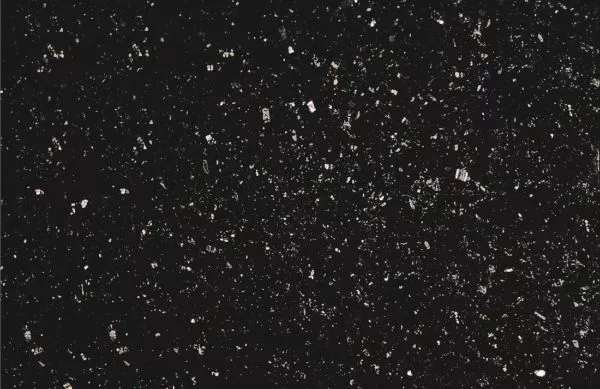 TrendLine Bodenfliese Granit 30 x 60 cm schwarz  Bodenfliese