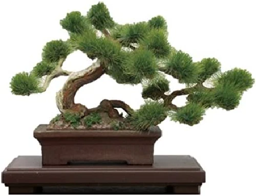 Platts 1/12 The bonsai Ichi Plastic BON-01 Japan Import
