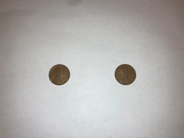 Lot of 2 1919 Lincoln Wheat One Cent Pennies | Circulated | Minted in Philadelph
