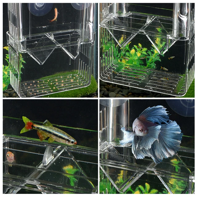 Double-Deck Clear Fish Breeding Isolation Box Aquarium Breeder Fish Tank 2