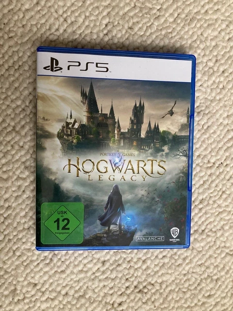 Poster Officiel Promo Hogwarts Legacy (L’héritage De Poudlard) – Dimensions 130x53,5 Cm